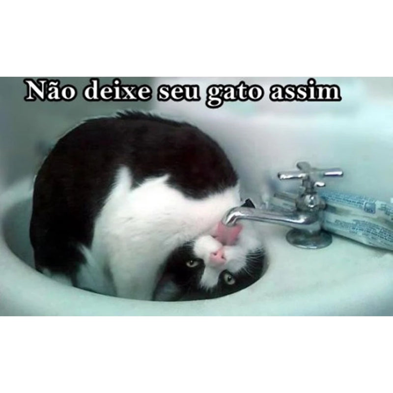 AquaPure - Fonte para Gatos Bebedouro de Cerâmica 3 Litros